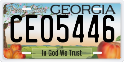 GA license plate CEO5446