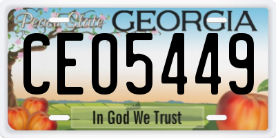 GA license plate CEO5449