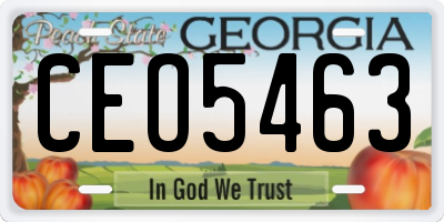 GA license plate CEO5463