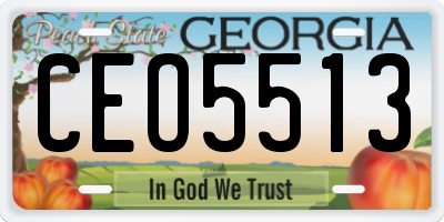 GA license plate CEO5513