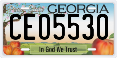 GA license plate CEO5530
