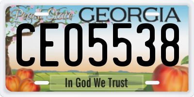 GA license plate CEO5538