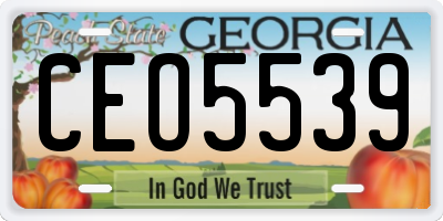 GA license plate CEO5539