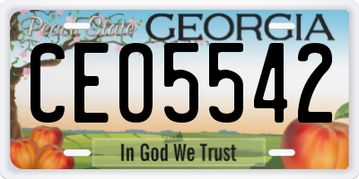 GA license plate CEO5542