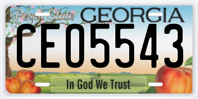 GA license plate CEO5543