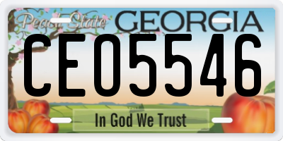 GA license plate CEO5546