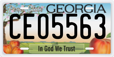 GA license plate CEO5563