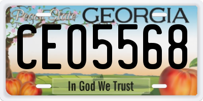 GA license plate CEO5568