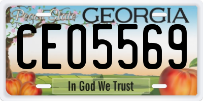 GA license plate CEO5569