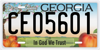 GA license plate CEO5601