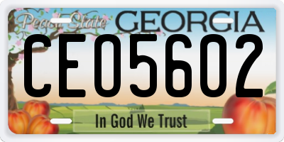 GA license plate CEO5602