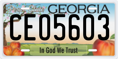 GA license plate CEO5603