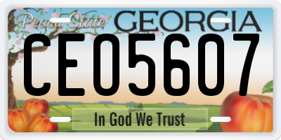 GA license plate CEO5607