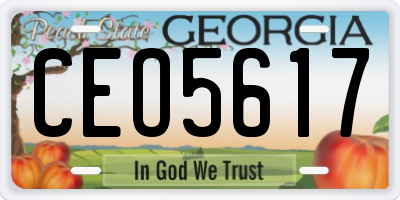 GA license plate CEO5617