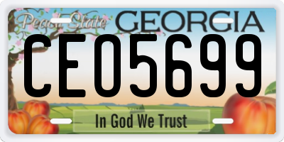 GA license plate CEO5699