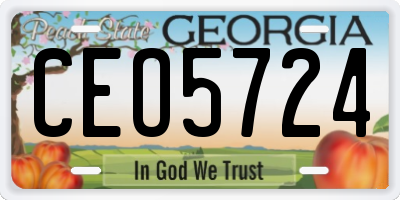 GA license plate CEO5724