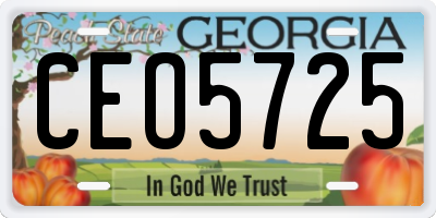GA license plate CEO5725