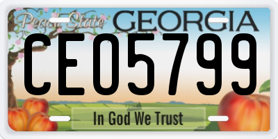 GA license plate CEO5799