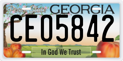 GA license plate CEO5842