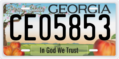 GA license plate CEO5853
