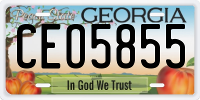 GA license plate CEO5855
