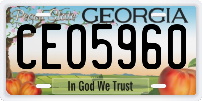 GA license plate CEO5960