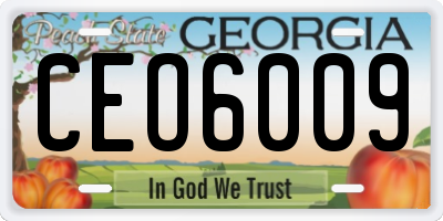 GA license plate CEO6009