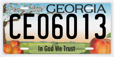 GA license plate CEO6013