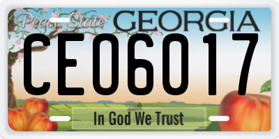 GA license plate CEO6017