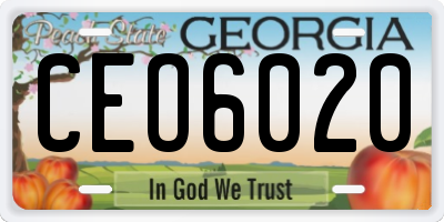 GA license plate CEO6020