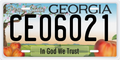 GA license plate CEO6021