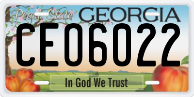 GA license plate CEO6022