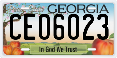 GA license plate CEO6023