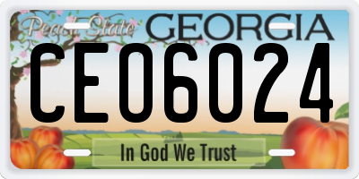 GA license plate CEO6024