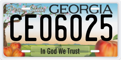 GA license plate CEO6025