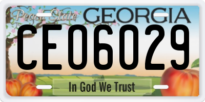 GA license plate CEO6029