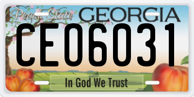 GA license plate CEO6031