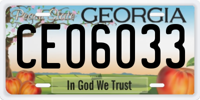 GA license plate CEO6033
