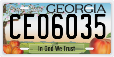 GA license plate CEO6035