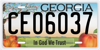 GA license plate CEO6037