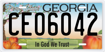 GA license plate CEO6042