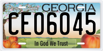 GA license plate CEO6045