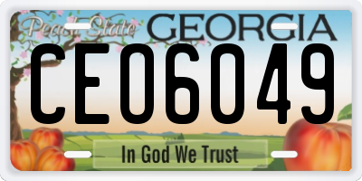 GA license plate CEO6049
