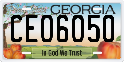 GA license plate CEO6050