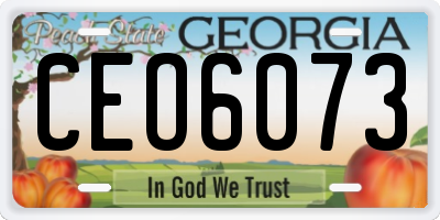 GA license plate CEO6073