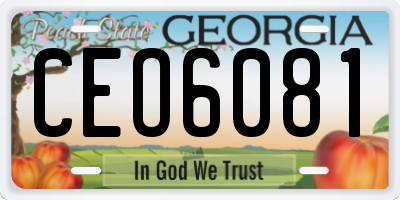 GA license plate CEO6081