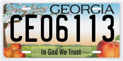 GA license plate CEO6113