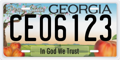 GA license plate CEO6123