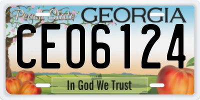 GA license plate CEO6124