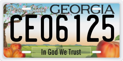 GA license plate CEO6125